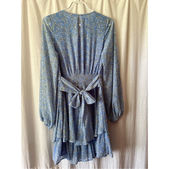 Japna | Long Sleeve Flowy Mini Dress - Picture 4 of 6